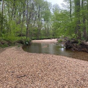 Meet your Posher, Shayla